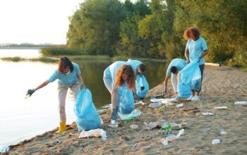 Volunteers collecting litter along a lakeside as part of a social responsibility initiative.